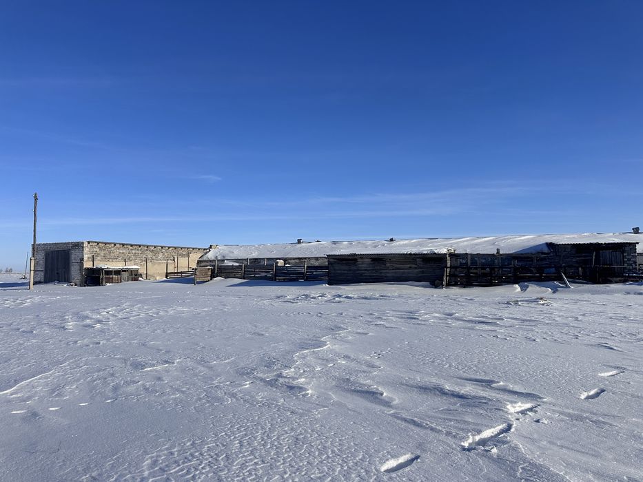 ПРОДАМ БАЗУ животноводство растеневодство