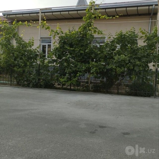 Богбон хизмати bogbon xizmati