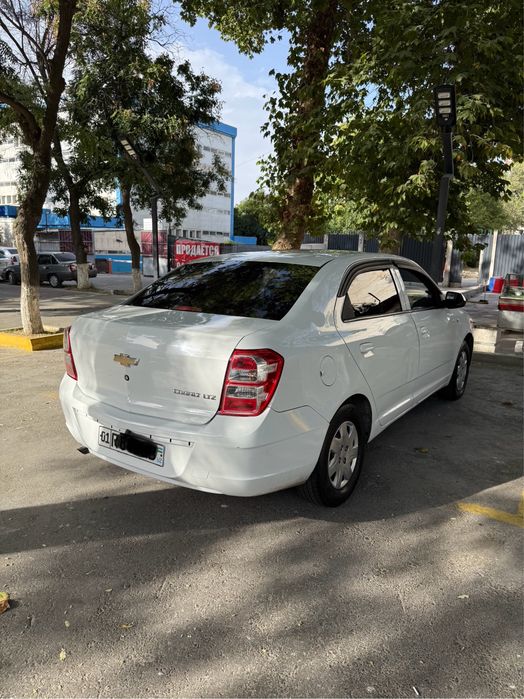 Cobalt AT 2022y. Gazi bor