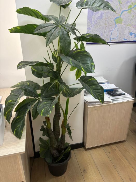 Продам искусственные цветы для офиса