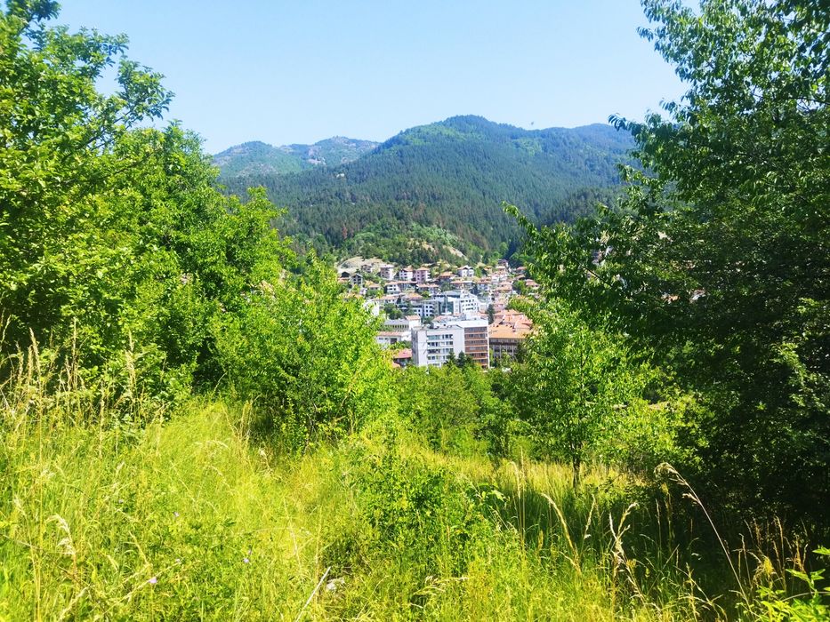 Продава се Парцел в Девин - 6627 кв.м за 61 €/кв.м - Снимка #5