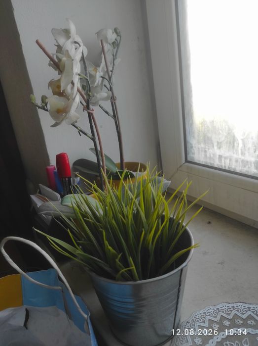 Продам доставлю торг