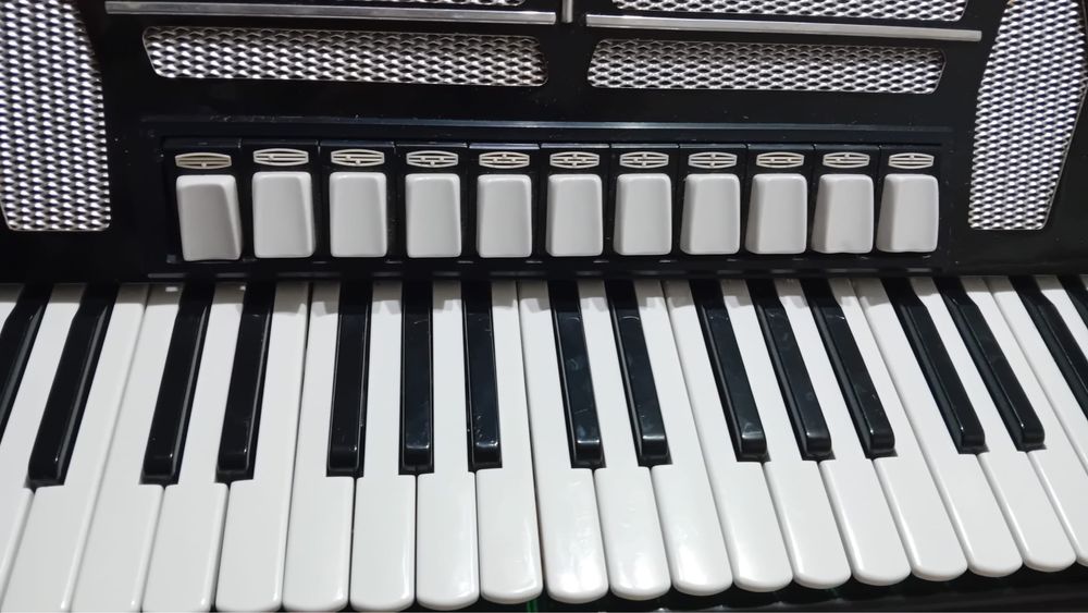 Acordeon Delicia 120 basi