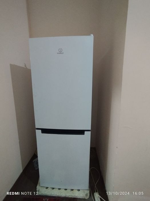 Kotej ijaraga beriladi