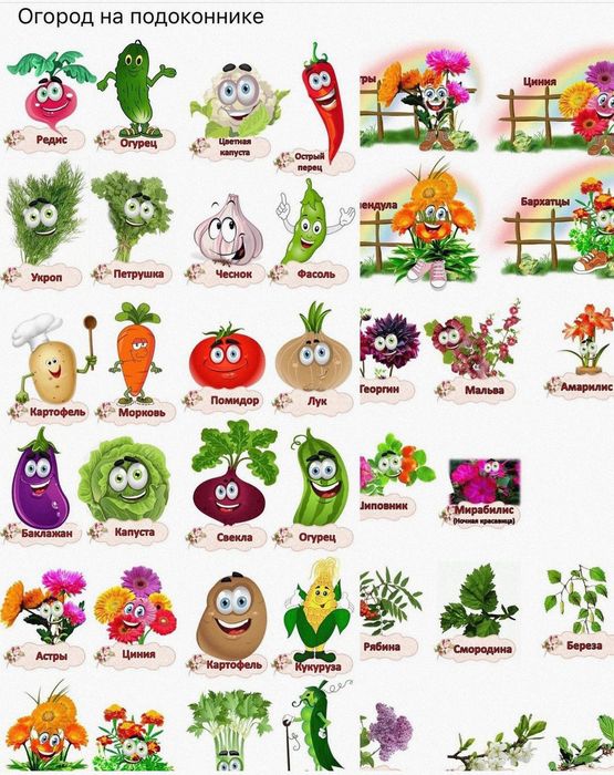 Развивашки, дидактический материал