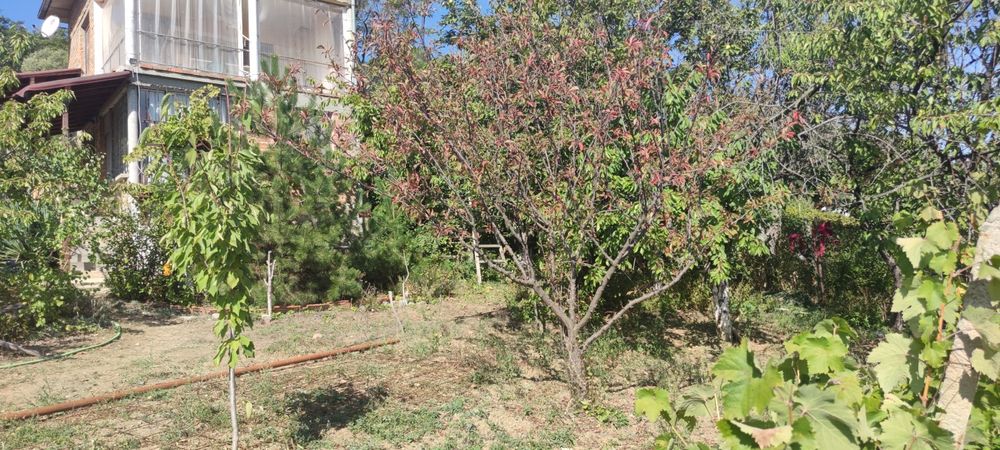 Продава се Къща в Айтос - 40 кв.м за 891 €/кв.м - Снимка #17