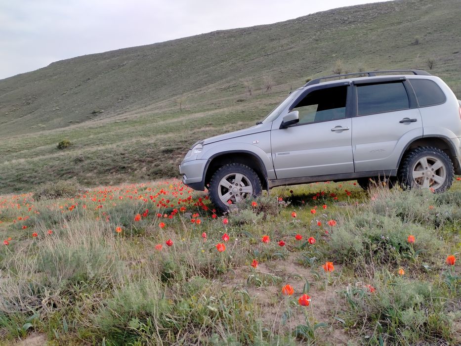 Шевролет нива. договорная