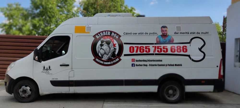 Frizerie Canina si Felina la domiciliu Bucuresti/Ilfov