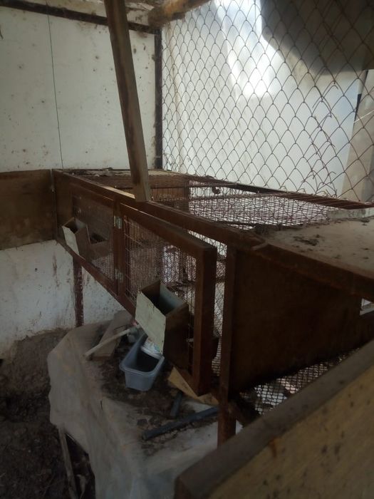 Клетки для кроликов