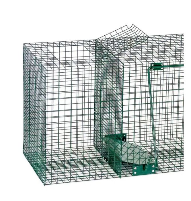 Капан с жива примамка за хищници