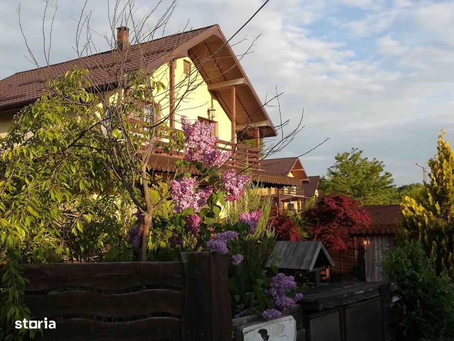 Vilă Bârnova, Bucium, Saună Piscină