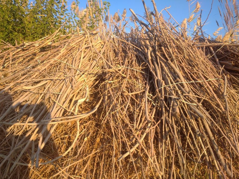 Ótin, tutniki, shu yilniki, tandirga, pechkaga zór