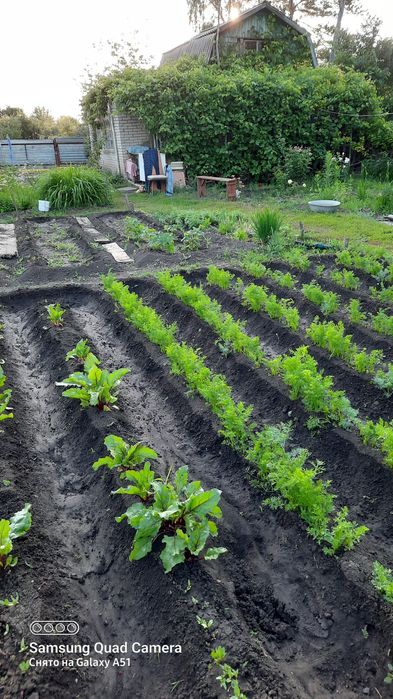 Продам дачу на 2й дачной поворот