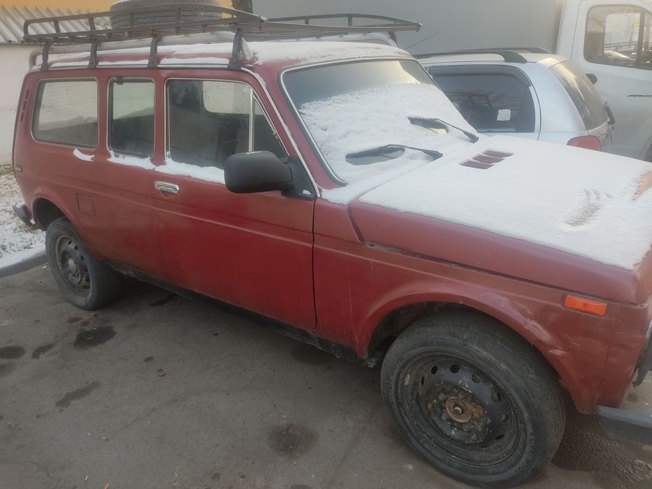 Razdadka bor shumka qilingan