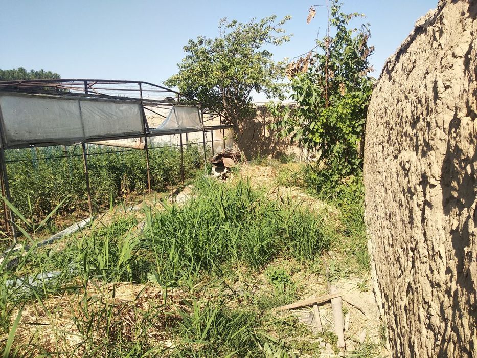 Nazarbek turkiston 9 sotix  63000 $ga