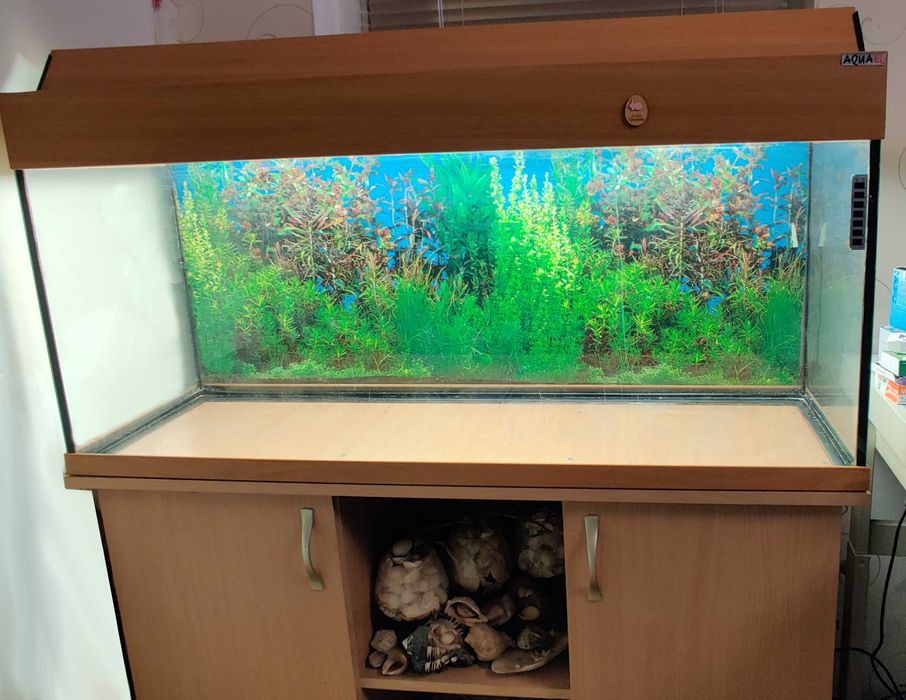 Acvariu AquaEL 240L cu stand