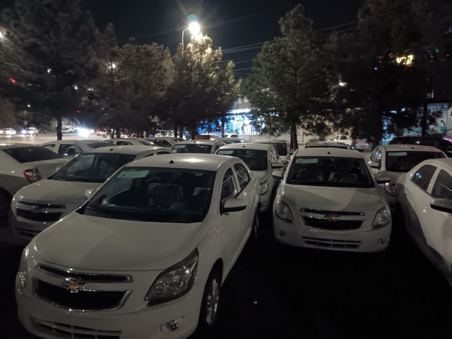 ‼️Cobalt masla‼️ bez probek