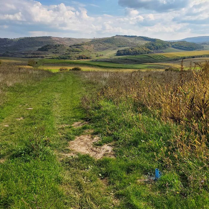 Vand teren intravilan in Deusu, com Chinteni