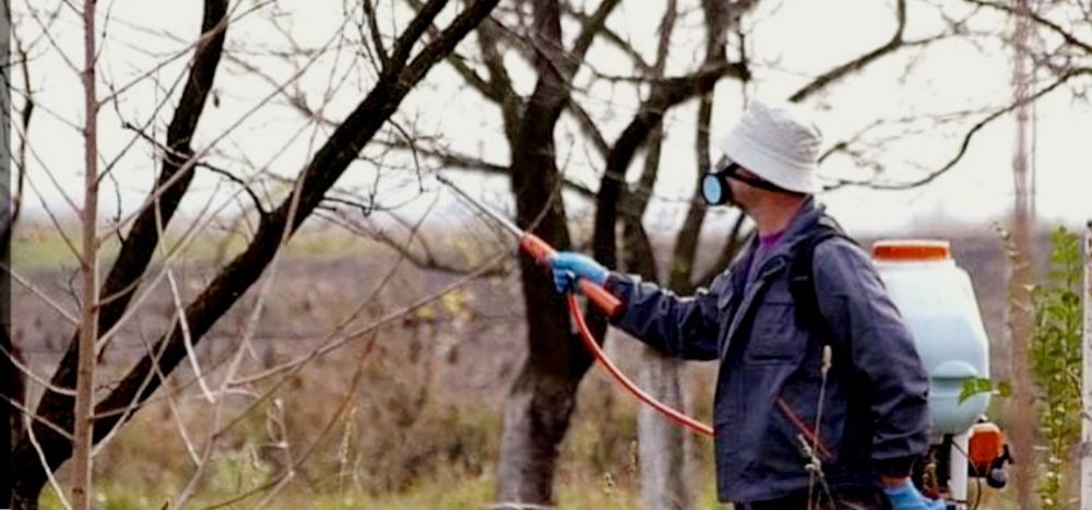Садовник. Обрезка деревья.