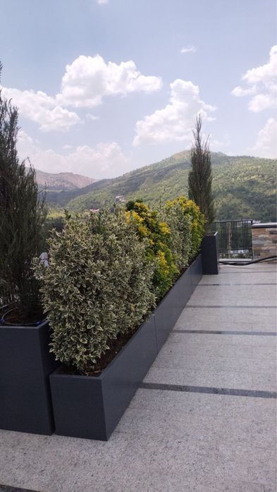 кашпо туве декаративни