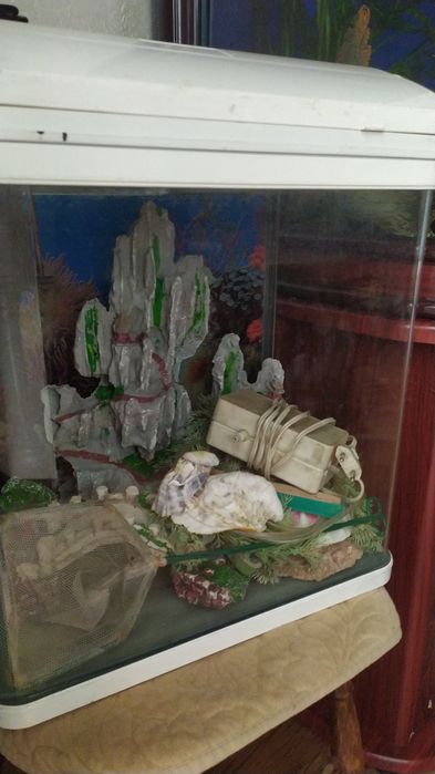 Аквариум для рыбок