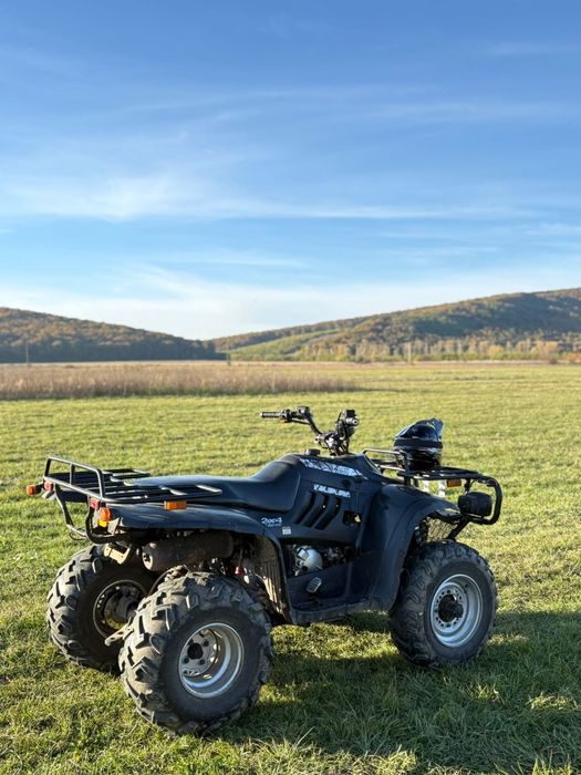 Linhai Worker 300cc 2X4