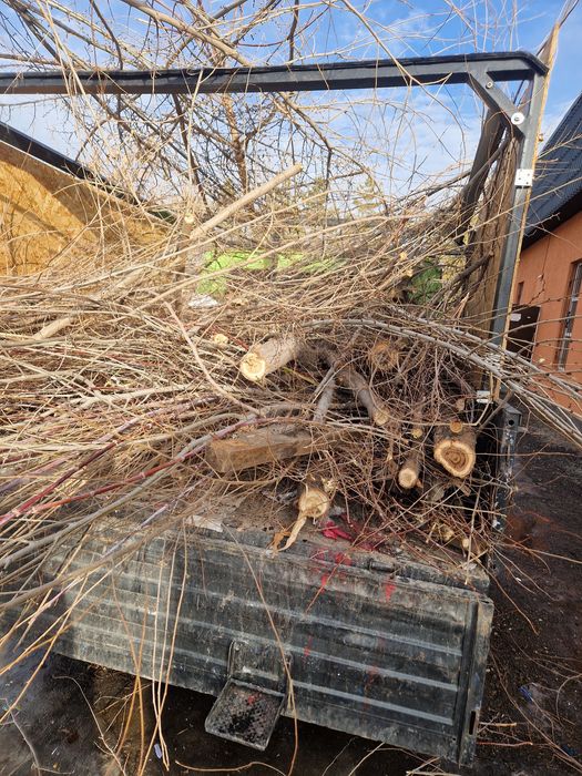 Бесплатно дрова, ветки.