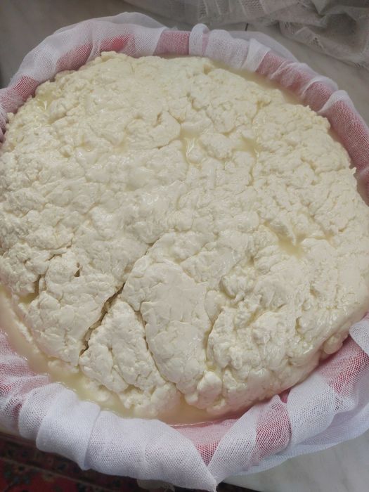 Vand cas de vaca , amestecat vaca cu oaie sau doar de oaie