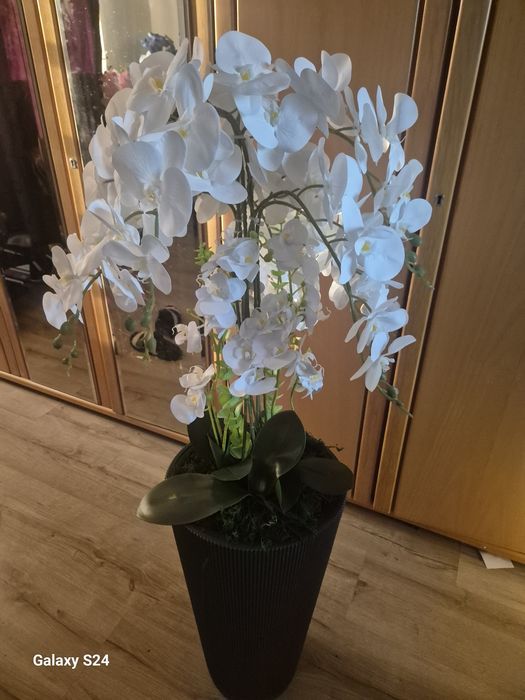 Orhidee silicon  dimensiune 125cm