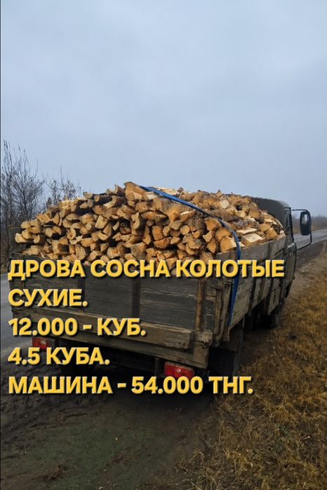 Дрова колотые сосна