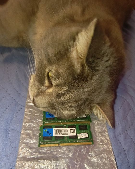 DD 3/ 8 GB /1.600  2 линей цена окончательнаяки для ноутбука