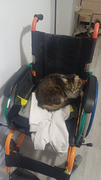 Инвалидная коляска