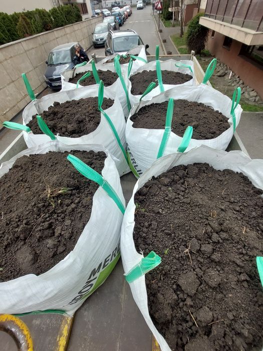 Pamant vegetal negru