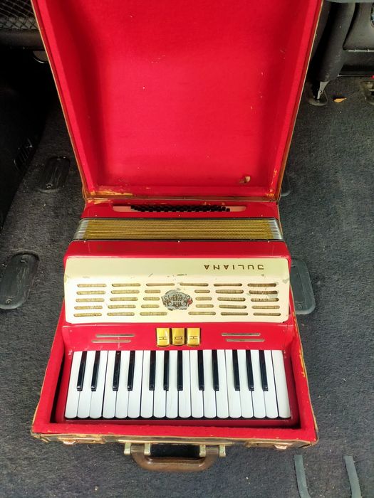 Acordeon mic pentru copii