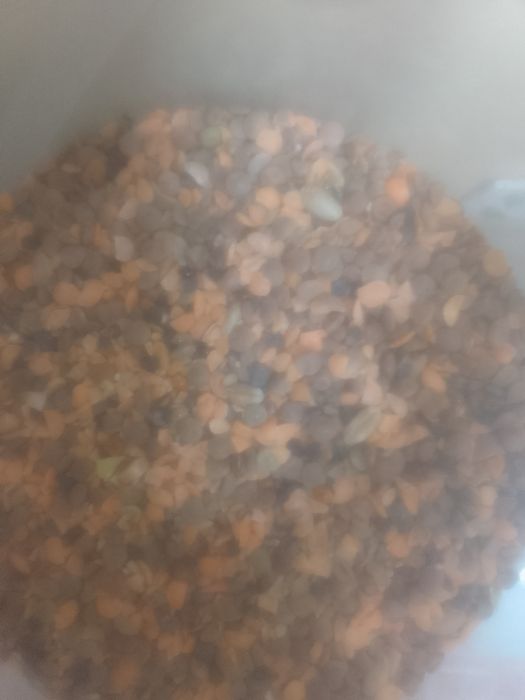 ОТХОДЫ Зерноотходы Полова