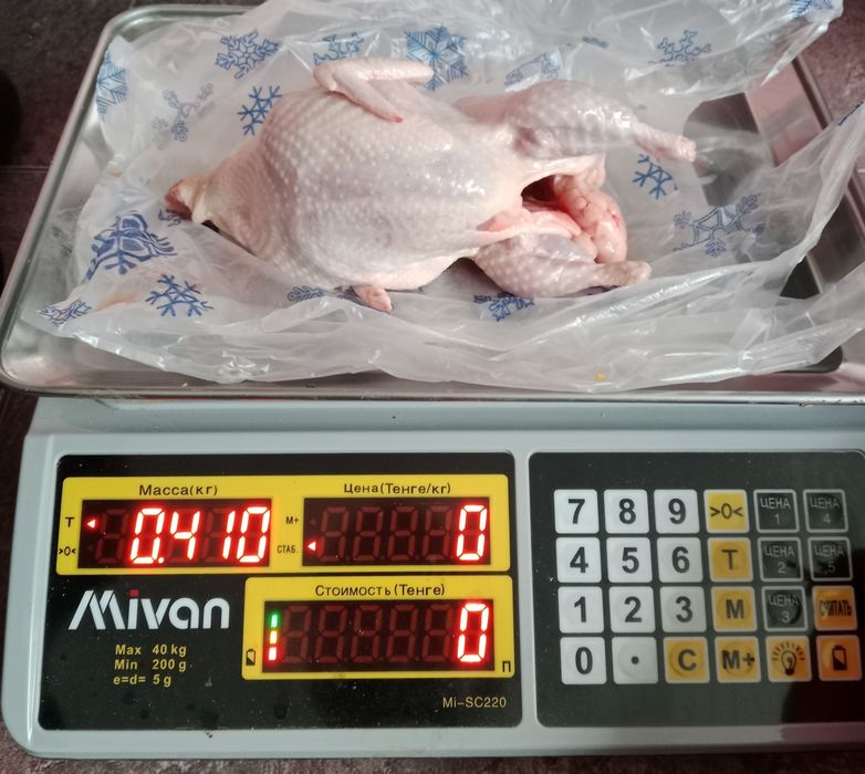 Яйцо перепелиные оптом