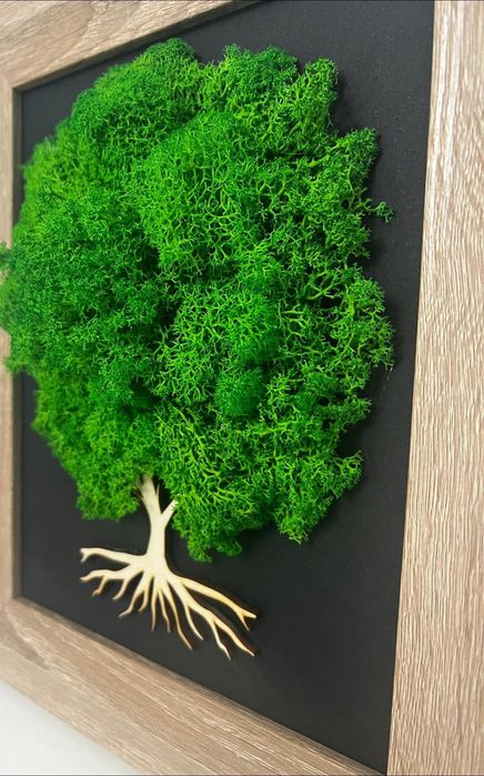 Tablou copacel cu licheni naturali, stabilizati
