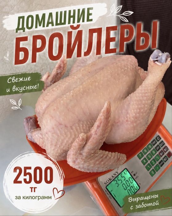 Домашние бройлеры