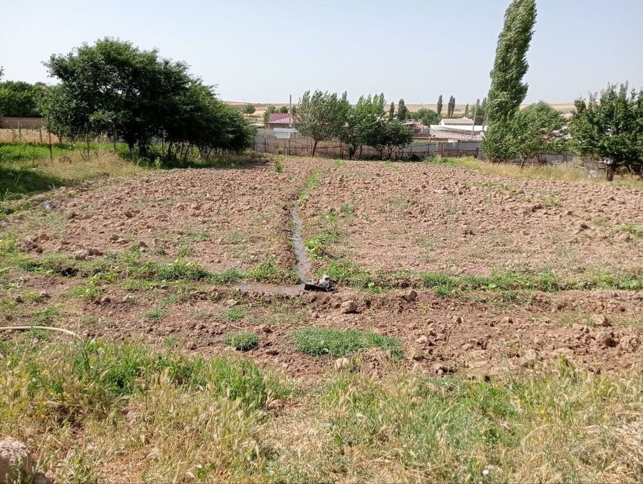 Uy joy sotiladi Qibray Tumani