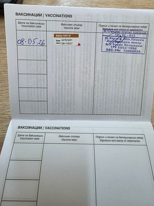 Продавам малка немска овчарка