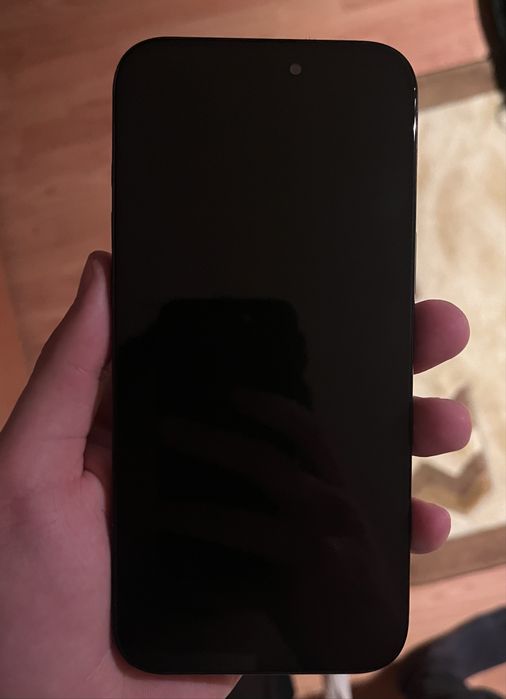 Iphone 16 pro max placa defecta