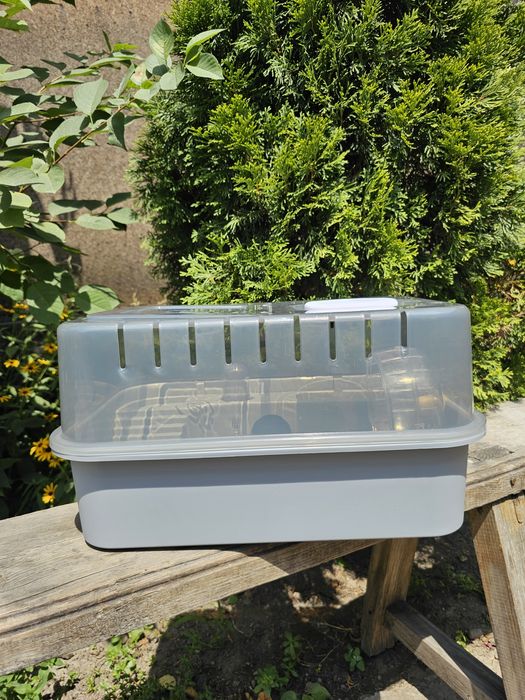 Новые клетки для хомяков