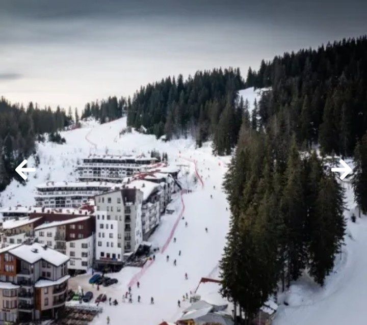 Продава се Парцел в к.к. Пампорово - 332 кв.м за 76 €/кв.м - Снимка #3