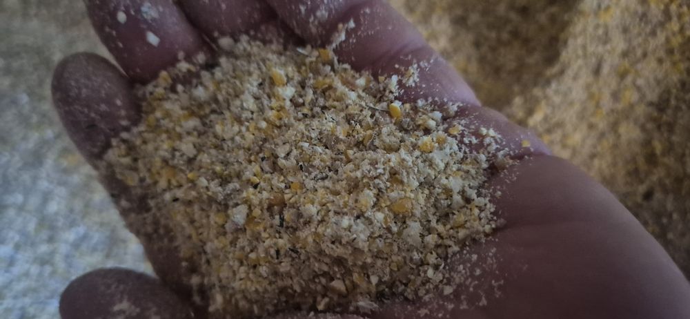 Grau,triticale,porumb,ovaz, orzoaica,secara,amestec cereale, cereale macinate, furaj granulat