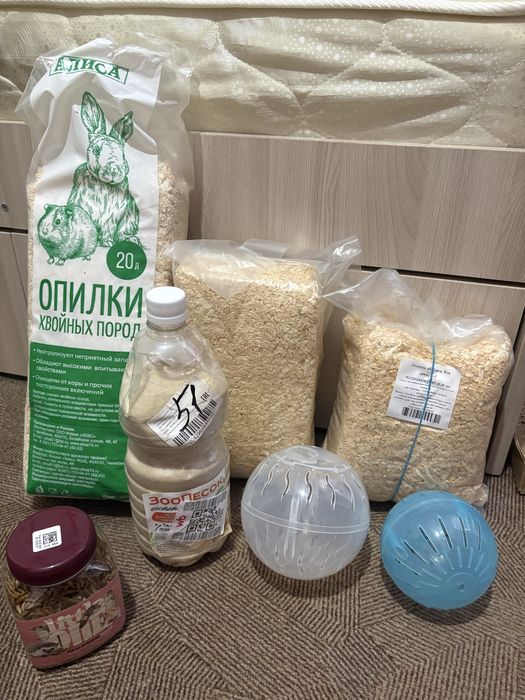 Продам двух хомяков. Со всем комплектом