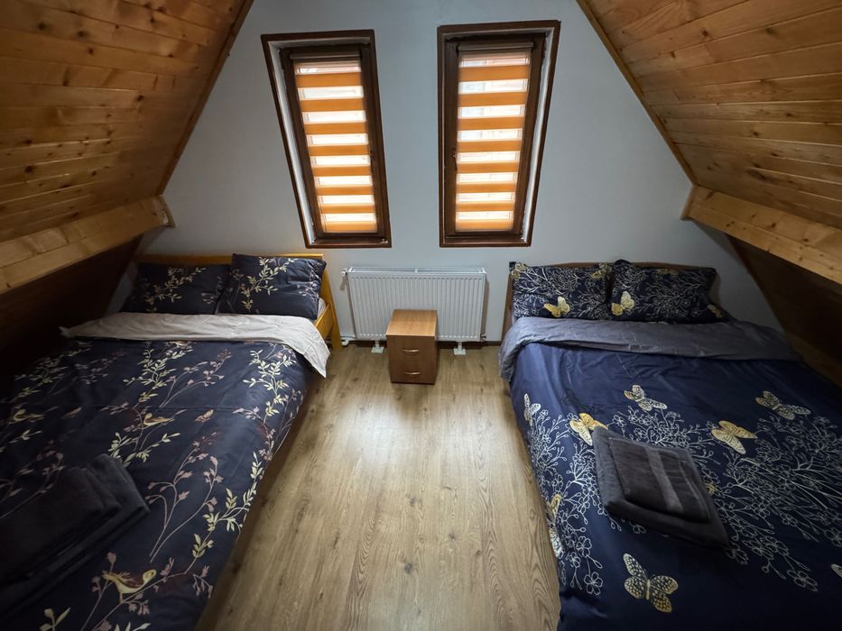 Cabana Ina Băile Figa