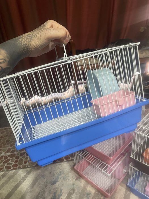 Клетки для грызунов