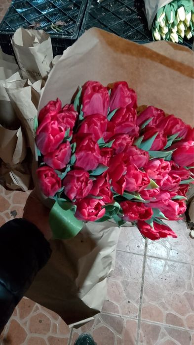 Цветы Тюльпан ОПТОВАЯ ЦЕНА