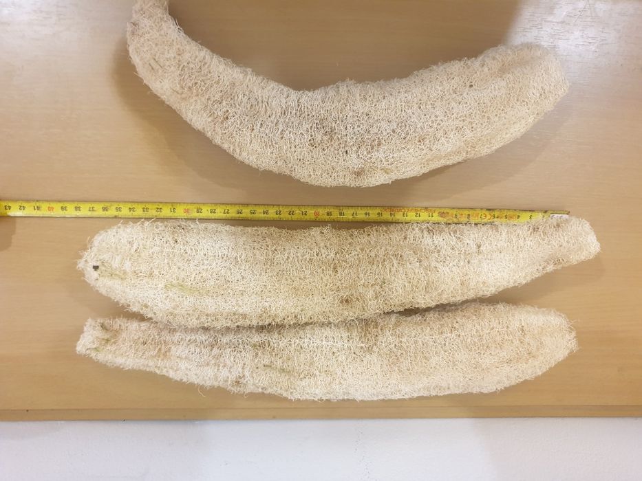 Lufa burete natural luffa