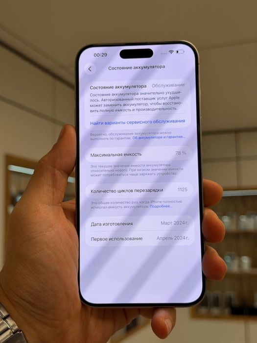 iPhone 15 Pro Max | 256 GB
